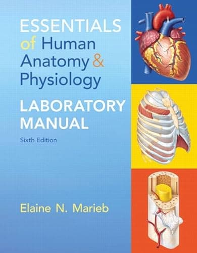 Book cover for Essentials of Human Anatomy & Physiology Laboratory Manual by Marieb, Elaine