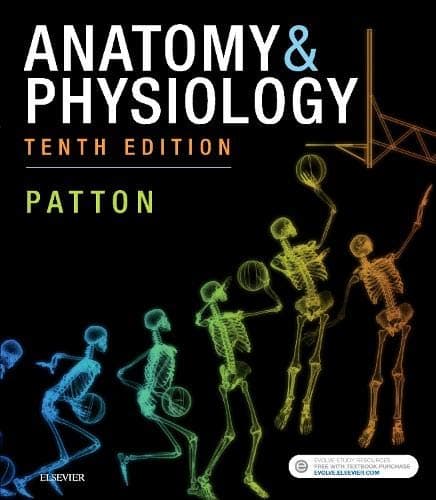 Book cover for Anatomy & Physiology (includes A&P Online course): Anatomy & Physiology (includes A&P Online course) by Patton PhD, Kevin T.