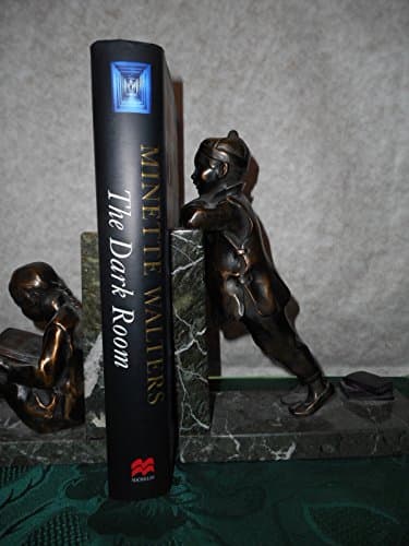 Book cover for The dark room by WALTERS, Minette