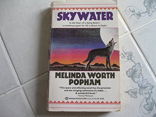 Book cover for Skywater by Popham, Melinda Worth