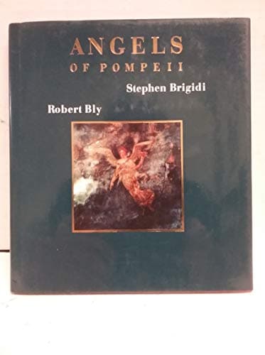 Book cover for Angels of Pompeii by Robert Bly