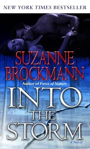 Book cover for Into the Storm (Troubleshooters, Book 10) by Brockmann, Suzanne