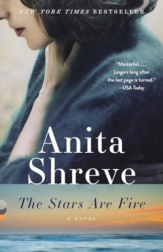 Book cover for The Stars Are Fire: A Novel by Shreve, Anita