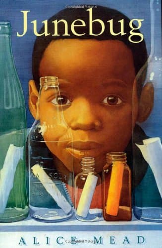 Book cover for Junebug by Mead, Alice