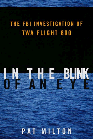 Book cover for In the Blink of an Eye by Milton, Pat