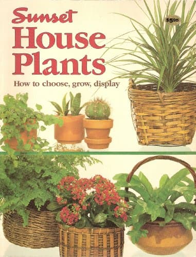House Plants: How to choose, grow, display