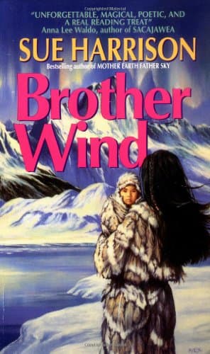 Book cover for Brother Wind by Harrison, Sue