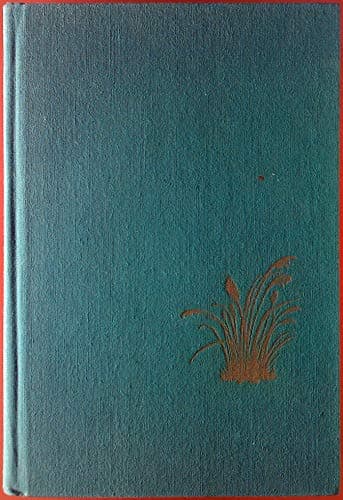 Book cover for Chesapeake by James A. Michener