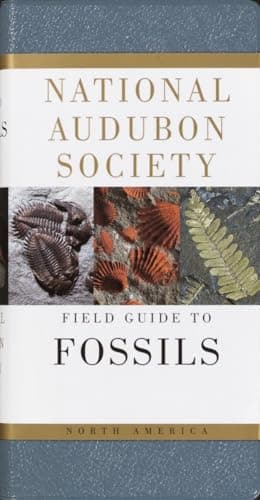 Book cover for National Audubon Society Field Guide to North American Fossils by Ida Thompson
