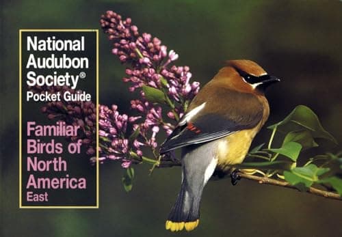 Book cover for Familiar Birds of North America: Eastern Region (National Audubon Society Pocket Guides) by Ann H. Whitman