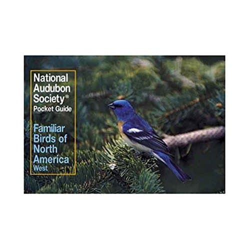 Book cover for Familiar Birds of North America, Western Region (The Audubon Society Pocket Guides) by Ann H. Whitman