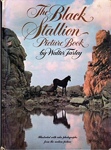 Book cover for The Black Stallion Picture Book (Illustrated with Color Photographs From The Motion Picture) by Farley, Walter