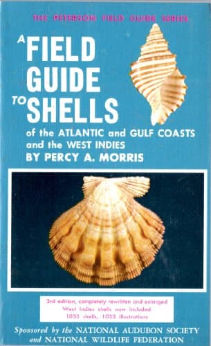 Book cover for Field Guide to Shells in Atlantic Gulf Coast by Morris, Percy A.