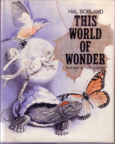 Book cover for This world of wonder, by Borland, Hal