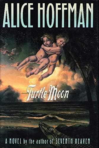 Book cover for Turtle Moon by Hoffman, Alice