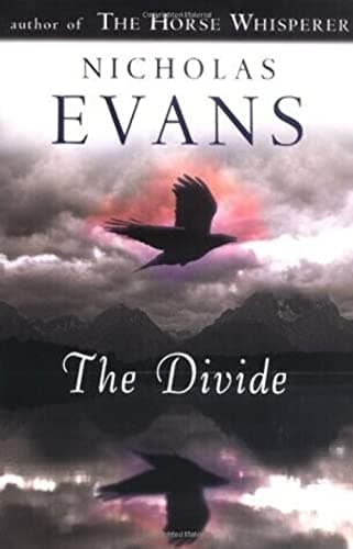 Book cover for The Divide by Evans, Nicholas