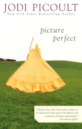 Book cover for Picture Perfect by Picoult, Jodi