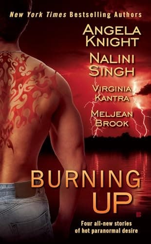 Book cover for Burning Up (Berkley Sensation) by Knight, Angela