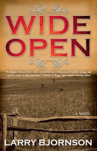 Book cover for Wide Open by Bjornson, Larry