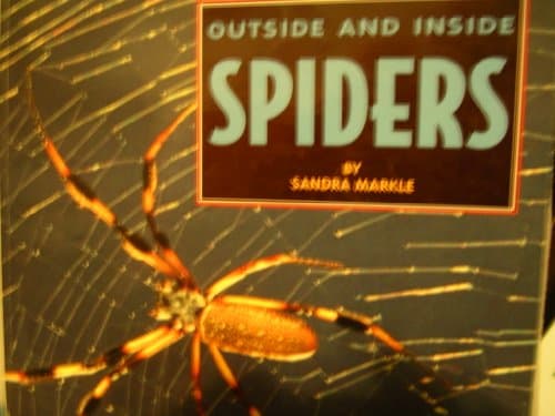 Book cover for Outside and inside spiders by Markle, Sandra