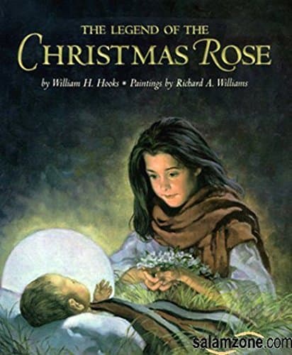 Book cover for The legend of the Christmas rose by William H Hooks