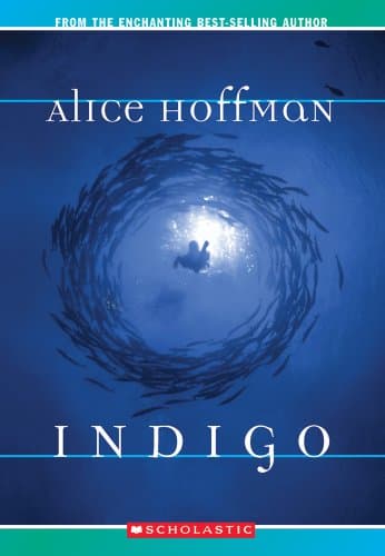 Book cover for Indigo by Hoffman, Alice