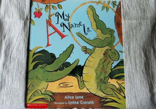 Book cover for My Name Is by Alice Lyne