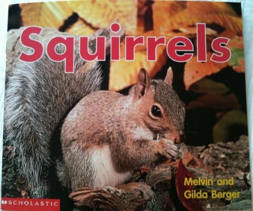Book cover for Squirrels (Scholastic time-to-discover readers) by Berger, Melvin