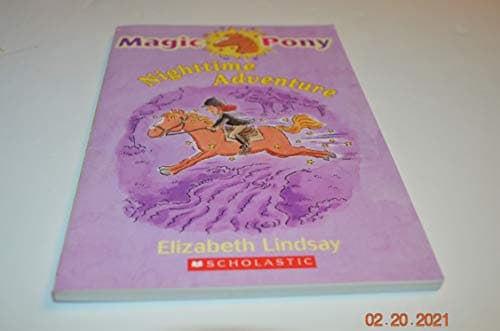 Book cover for Nighttime Adventure (Magic Pony) by lindsay-elizabeth