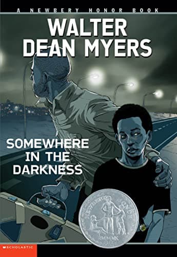 Book cover for Somewhere In The Darkness by Myers, Walter Dean