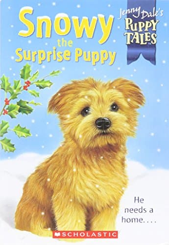 Book cover for Snowy the Surprise Puppy by Jenny Dale