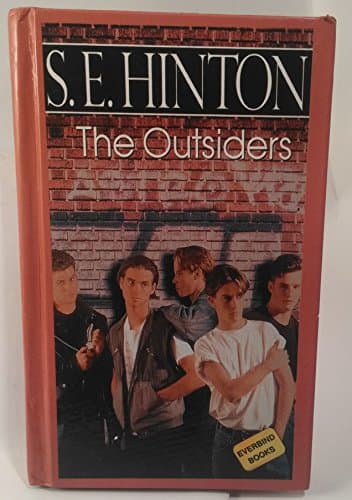 Book cover for The Outsiders by S. E. Hinton