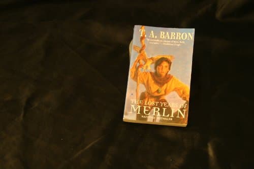 Book cover for The Lost Years of Merlin by Barron, T. A.