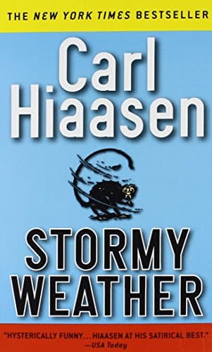 Book cover for Stormy Weather by Hiaasen, Carl
