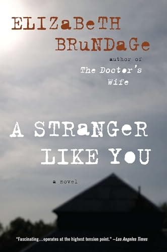 Book cover for A Stranger Like You: A Novel by Brundage, Elizabeth