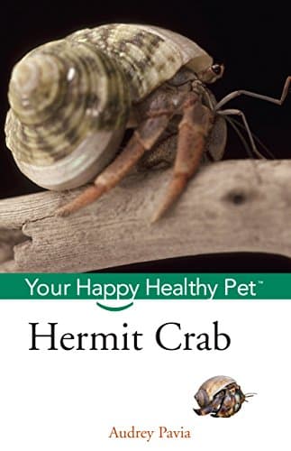 Hermit Crab: Your Happy Healthy Pet (Happy Healthy Pet, 51)