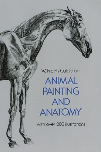 Book cover for Animal Painting and Anatomy (Dover Anatomy for Artists) by Calderon, W. Frank