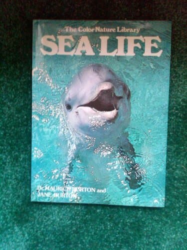 Book cover for Sea life (The Color nature library) by Burton, Maurice
