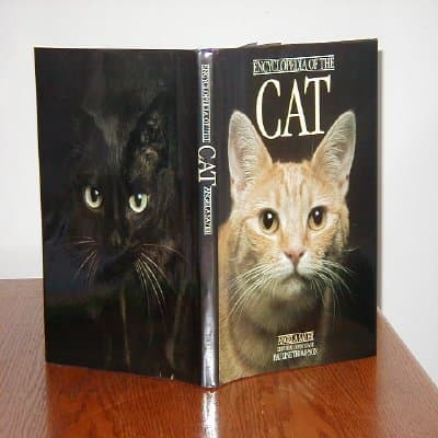 Book cover for Encyclopedia of the Cat by Angela Sayer