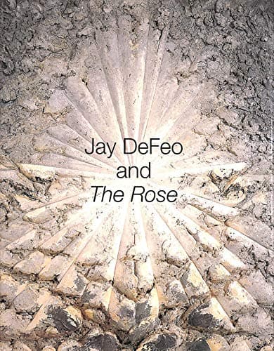 Book cover for Jay DeFeo and The Rose by Green, Jane