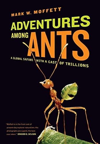 Book cover for Adventures Among Ants: A Global Safari with a Cast of Trillions by Moffett, Mark W.