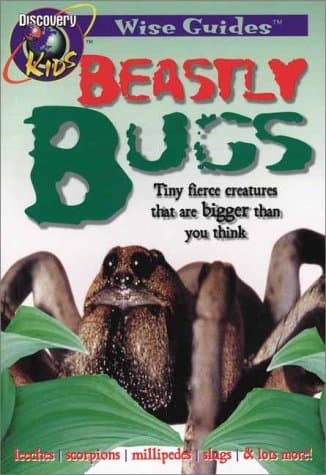 Book cover for Beastly Bugs by Discovery Kids