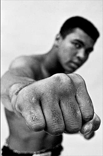 Book cover for Ali: A Life by Eig, Jonathan