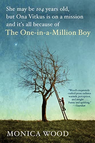 Book cover for The One-In-A-Million Boy by Wood, Monica