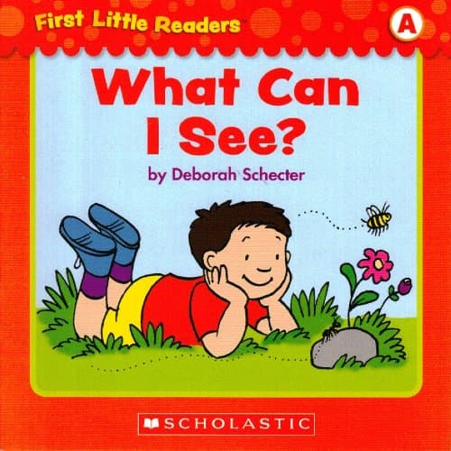 Book cover for What Can I See? (First Little Readers; Level A) by Deborah Schecter
