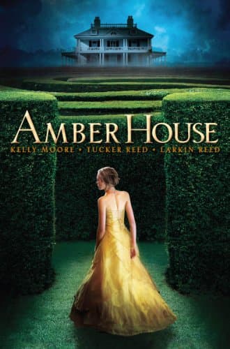 Book cover for Amber House (Amber House, Book 1) (1) by Moore, Kelly