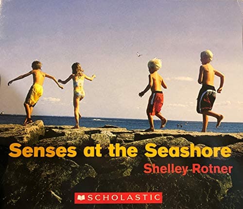 Book cover for Senses at the Seashore by Shelley Rotner