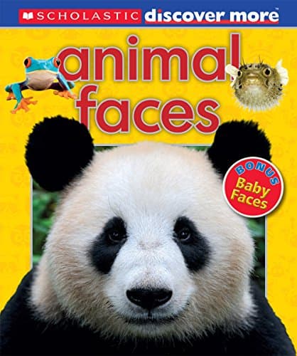 Book cover for Animal Faces (Scholastic Discover More) by Arlon, Penelope