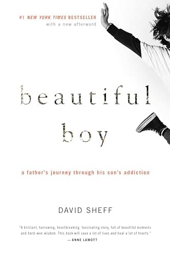 Book cover for Beautiful Boy: A Heartbreaking Memoir of a Father's Struggle with His Son's Addiction and the Journey to Recovery by Sheff, David