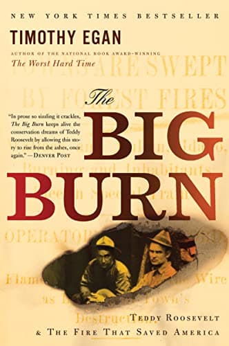 Book cover for The Big Burn: Teddy Roosevelt and the Fire that Saved America by Egan, Timothy